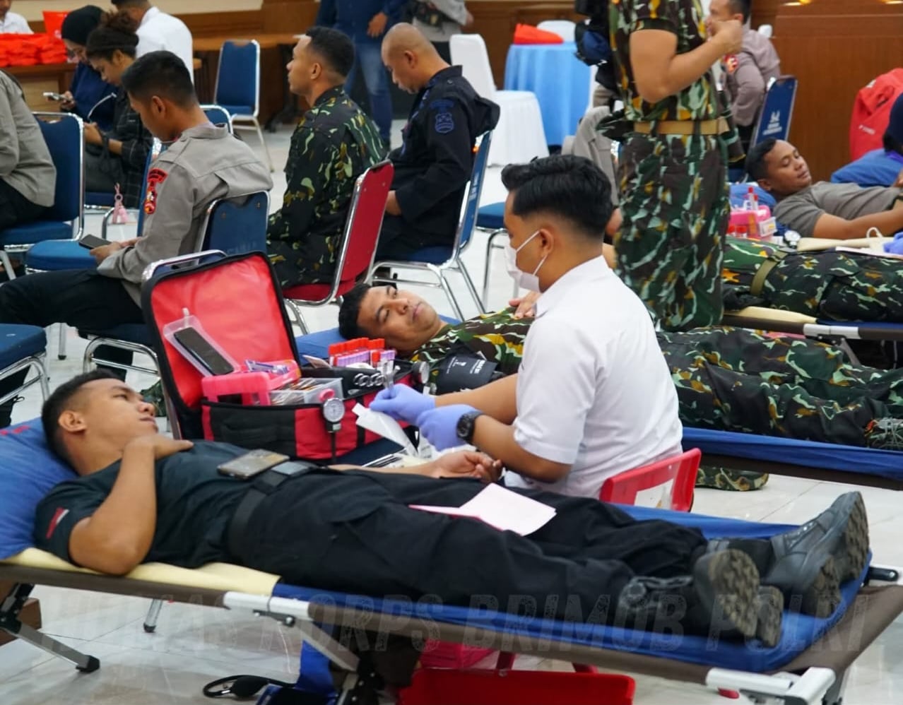 Donor darah