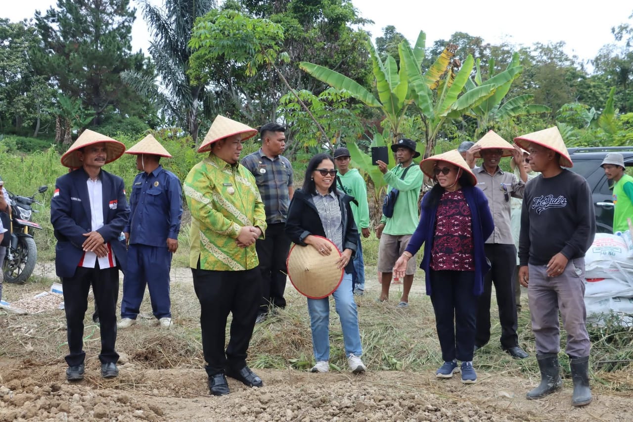Bawang