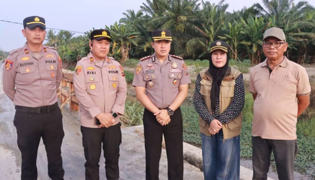Cek